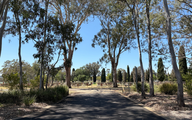 Read more about the article Understanding Cremation Services in Kingaroy