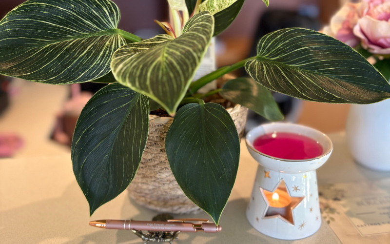 Read more about the article Planning a Funeral in Kingaroy: A Guide for South Burnett Families